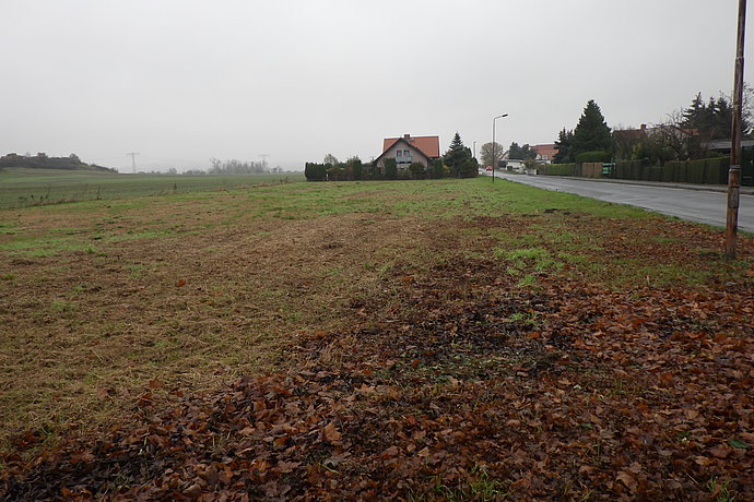 Umweltbericht Bebauungsplan Blankenburg (Harz)