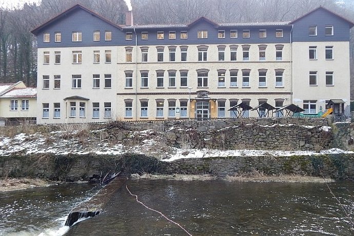 Erneuerung Ufermauer Thale, FFH-Prüfungen