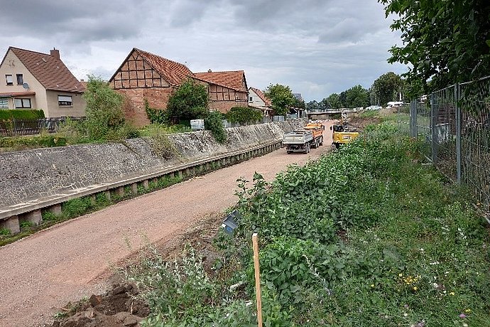 Ökologische Baubgeleitung Krottorf/Bode